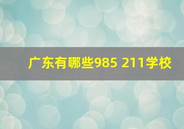 广东有哪些985 211学校